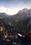 Neuschwanenstein und Fuss.jpg (67800 Byte)