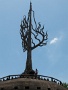 DSCF2526